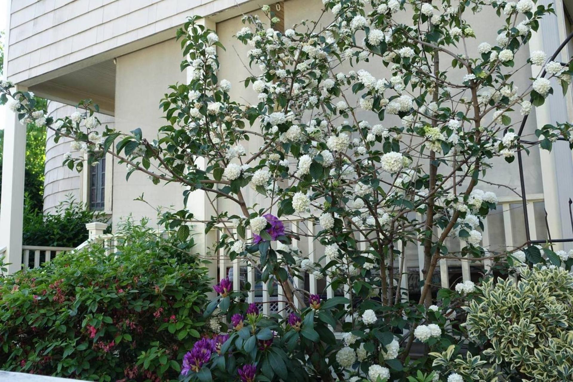 Luxury Harvard/Mit Victorian Cambridge Luaran gambar